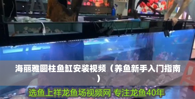 海麗雅圓柱魚缸安裝視頻（養魚新手入門指南）