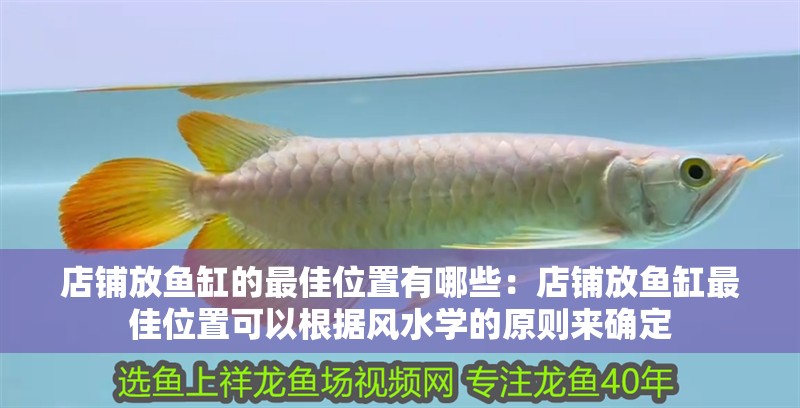 店鋪放魚(yú)缸的最佳位置有哪些：店鋪放魚(yú)缸最佳位置可以根據(jù)風(fēng)水學(xué)的原則來(lái)確定