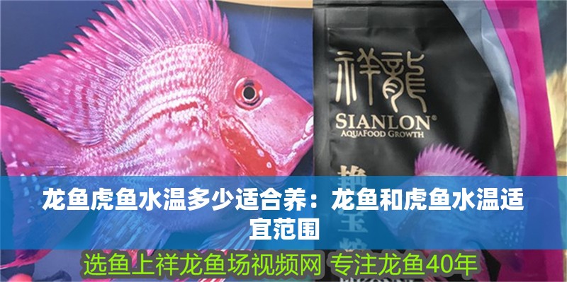 龍魚虎魚水溫多少適合養：龍魚和虎魚水溫適宜范圍 龍魚虎魚水溫多少適合養：龍魚和虎魚水溫適宜范圍 龍魚百科