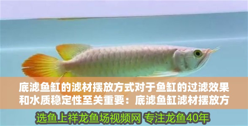底濾魚缸的濾材擺放方式對于魚缸的過濾效果和水質穩定性至關重要：底濾魚缸濾材擺放方式對于魚缸的過濾效果和水質穩定性至關重要