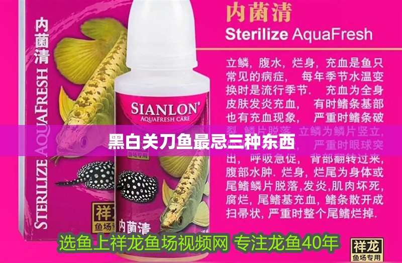 黑白關刀魚最忌三種東西