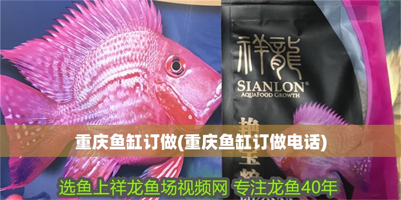 重慶魚缸訂做(重慶魚缸訂做電話)