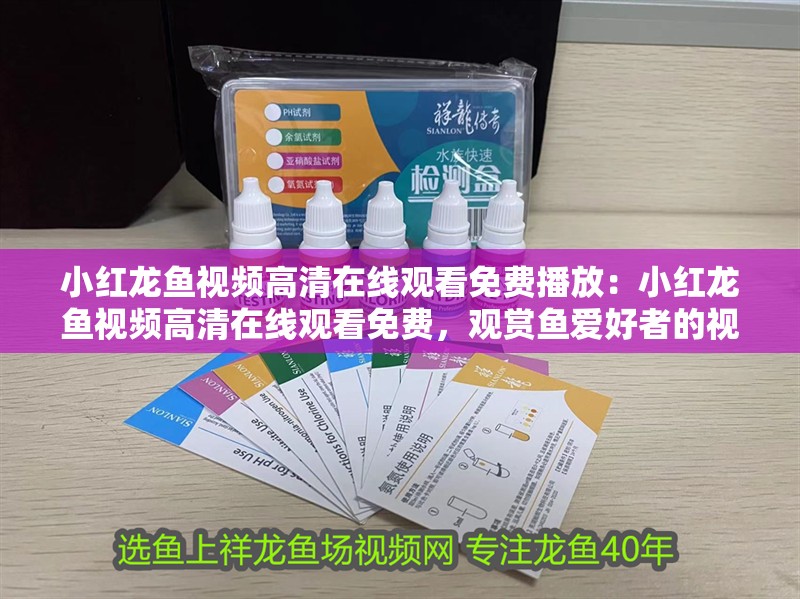 小紅龍魚視頻高清在線觀看免費播放：小紅龍魚視頻高清在線觀看免費，觀賞魚愛好者的視覺盛宴