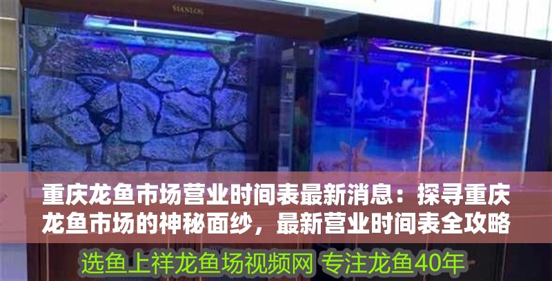 重慶龍魚市場營業時間表最新消息：探尋重慶龍魚市場的神秘面紗，最新營業時間表全攻略