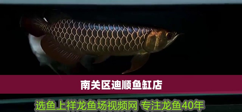 南關區迪順魚缸店