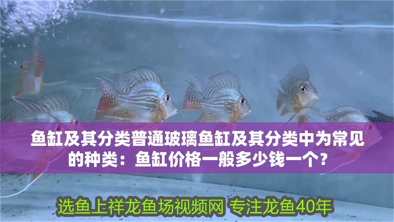 魚缸及其分類普通玻璃魚缸及其分類中為常見的種類：魚缸價格一般多少錢一個？