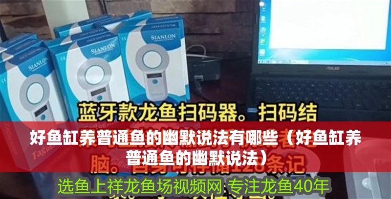 好魚缸養(yǎng)普通魚的幽默說法有哪些（好魚缸養(yǎng)普通魚的幽默說法）