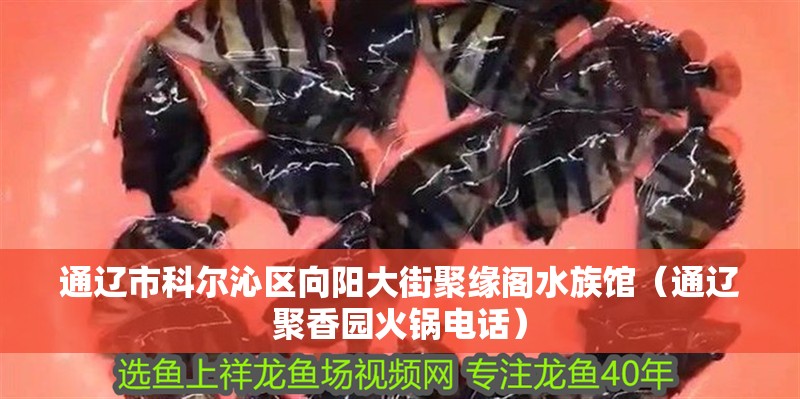 通遼市科爾沁區向陽大街聚緣閣水族館（通遼聚香園火鍋電話）