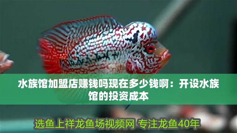水族館加盟店賺錢嗎現在多少錢啊：開設水族館的投資成本