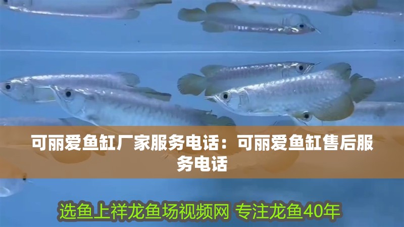 可麗愛(ài)魚缸廠家服務(wù)電話：可麗愛(ài)魚缸售后服務(wù)電話