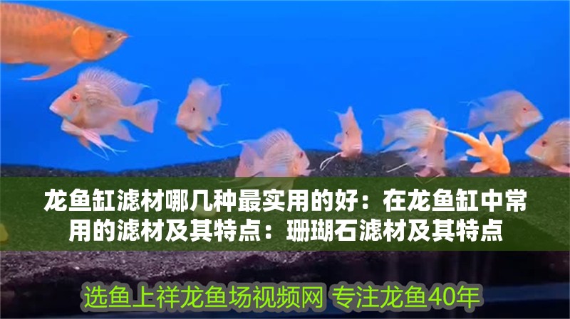 龍魚缸濾材哪幾種最實用的好：在龍魚缸中常用的濾材及其特點：珊瑚石濾材及其特點