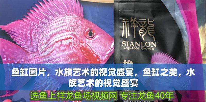 魚缸圖片，水族藝術(shù)的視覺(jué)盛宴，魚缸之美，水族藝術(shù)的視覺(jué)盛宴 魚缸圖片，水族藝術(shù)的視覺(jué)盛宴，魚缸之美，水族藝術(shù)的視覺(jué)盛宴 龍魚常見(jiàn)疾病 第1張