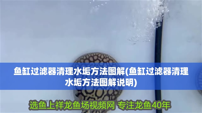 魚缸過濾器清理水垢方法圖解(魚缸過濾器清理水垢方法圖解說明)