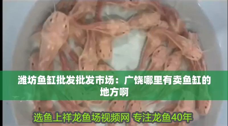濰坊魚缸批發(fā)批發(fā)市場：廣饒哪里有賣魚缸的地方啊