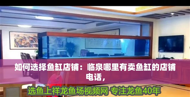 如何選擇魚缸店鋪：臨泉哪里有賣魚缸的店鋪電話，