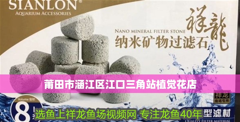 莆田市<strong><mark>涵江</mark></strong>區江口三角站植覺花店