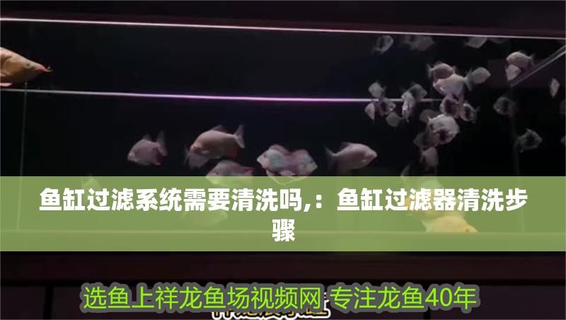 魚缸過濾系統需要清洗嗎,：魚缸過濾器清洗步驟