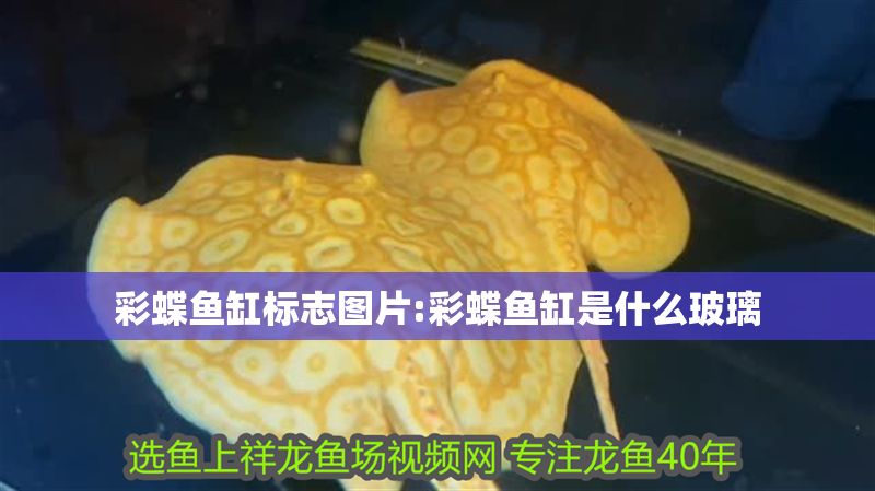 彩蝶魚缸標志圖片:彩蝶魚缸是什么玻璃