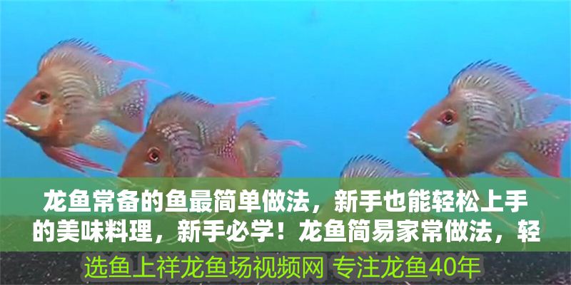 龍魚常備的魚最簡單做法，新手也能輕松上手的美味料理，新手必學！龍魚簡易家常做法，輕松搞定美味料理