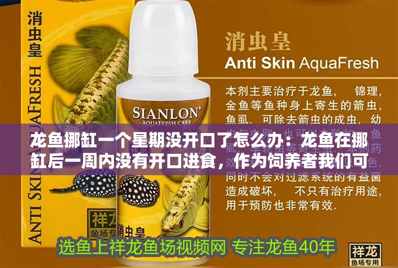 龍魚(yú)挪缸一個(gè)星期沒(méi)開(kāi)口了怎么辦：龍魚(yú)在挪缸后一周內(nèi)沒(méi)有開(kāi)口進(jìn)食，作為飼養(yǎng)者我們可以從以下幾個(gè)方面排查和解決問(wèn)題