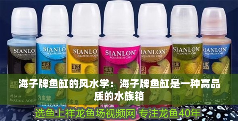 海子牌魚缸的風水學：海子牌魚缸是一種高品質的水族箱