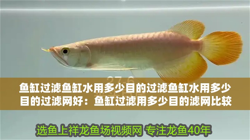 魚缸過濾魚缸水用多少目的過濾魚缸水用多少目的過濾網好：魚缸過濾用多少目的濾網比較好