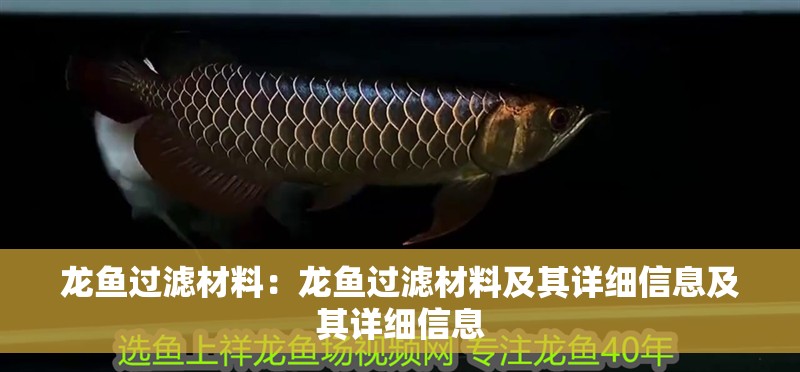 龍魚過濾材料：龍魚過濾材料及其詳細(xì)信息及其詳細(xì)信息 龍魚過濾材料：龍魚過濾材料及其詳細(xì)信息及其詳細(xì)信息 龍魚百科