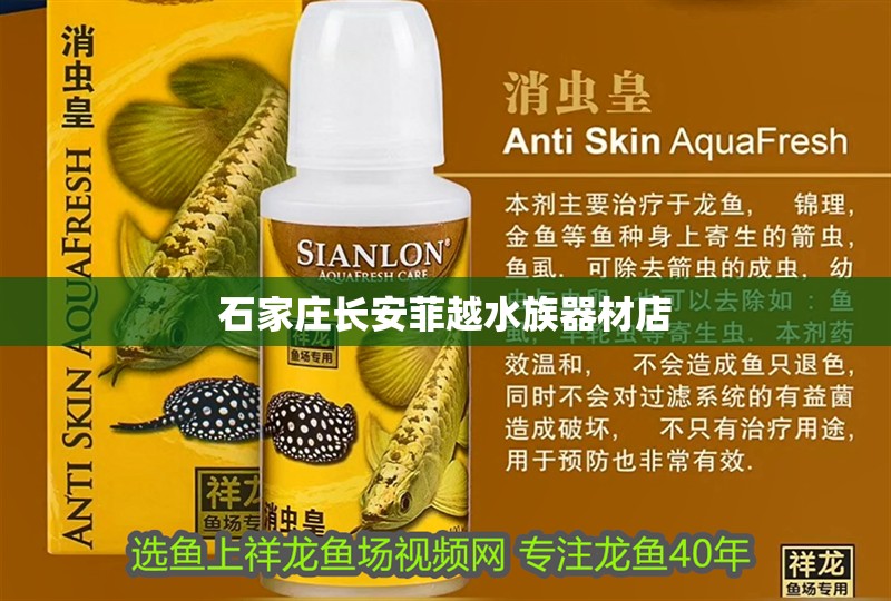 石家莊長安菲越水族器材店