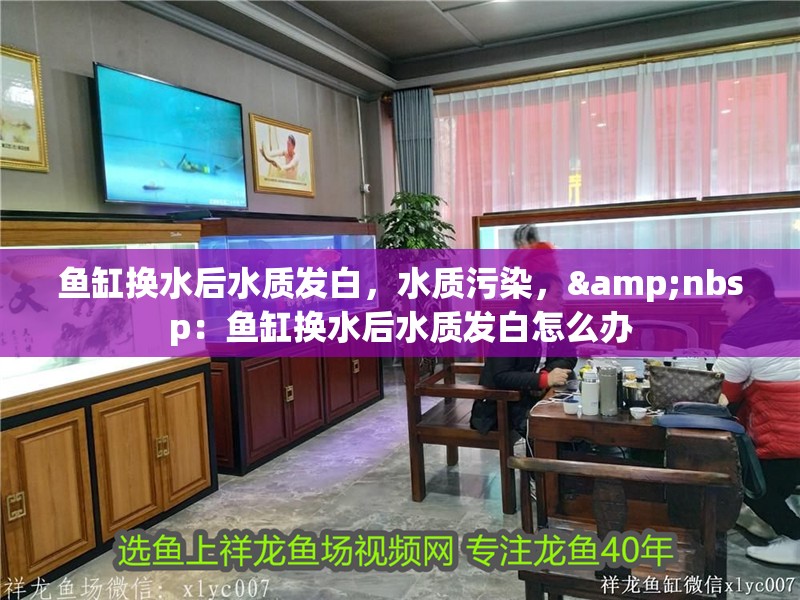 魚缸換水后水質(zhì)發(fā)白，水質(zhì)污染，&nbsp：魚缸換水后水質(zhì)發(fā)白怎么辦