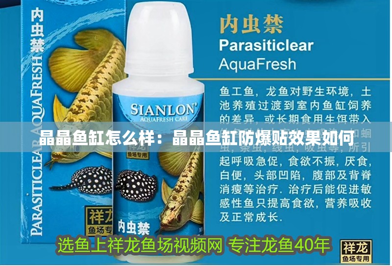 晶晶魚缸怎么樣：晶晶魚缸防爆貼效果如何 晶晶魚缸怎么樣：晶晶魚缸防爆貼效果如何 魚缸百科