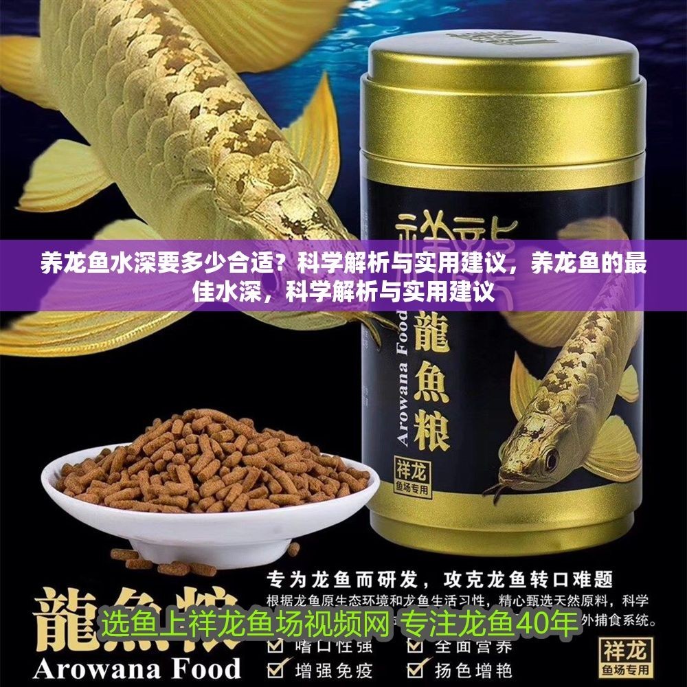 養龍魚水深要多少合適？科學解析與實用建議，養龍魚的最佳水深，科學解析與實用建議
