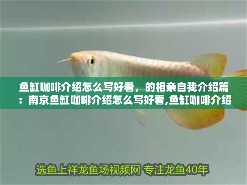魚缸咖啡介紹怎么寫好看，的相親自我介紹篇：南京魚缸咖啡介紹怎么寫好看,魚缸咖啡介紹怎么寫好看 魚缸咖啡介紹怎么寫好看，的相親自我介紹篇：南京魚缸咖啡介紹怎么寫好看,魚缸咖啡介紹怎么寫好看 魚缸百科