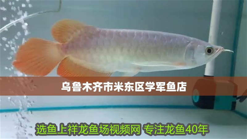 烏魯木齊市米東區學軍魚店
