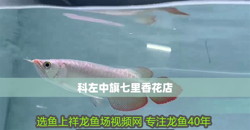 科左中旗七里香花店