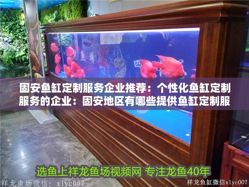 固安魚缸定制服務企業推薦：個性化魚缸定制服務的企業：固安地區有哪些提供魚缸定制服務的企業