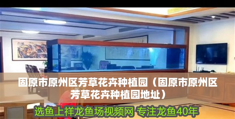 固原市原州區芳草花卉種植園（固原市原州區芳草花卉種植園地址）