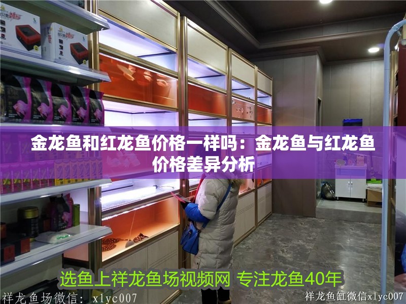 金龍魚(yú)和紅龍魚(yú)價(jià)格一樣嗎：金龍魚(yú)與紅龍魚(yú)價(jià)格差異分析
