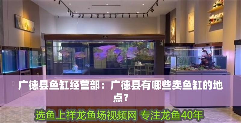 廣德縣魚缸經(jīng)營(yíng)部：廣德縣有哪些賣魚缸的地點(diǎn)？