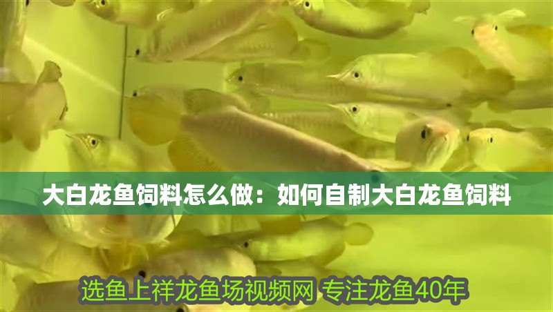 大白龍魚飼料怎么做：如何自制大白龍魚飼料 大白龍魚飼料怎么做：如何自制大白龍魚飼料 龍魚百科