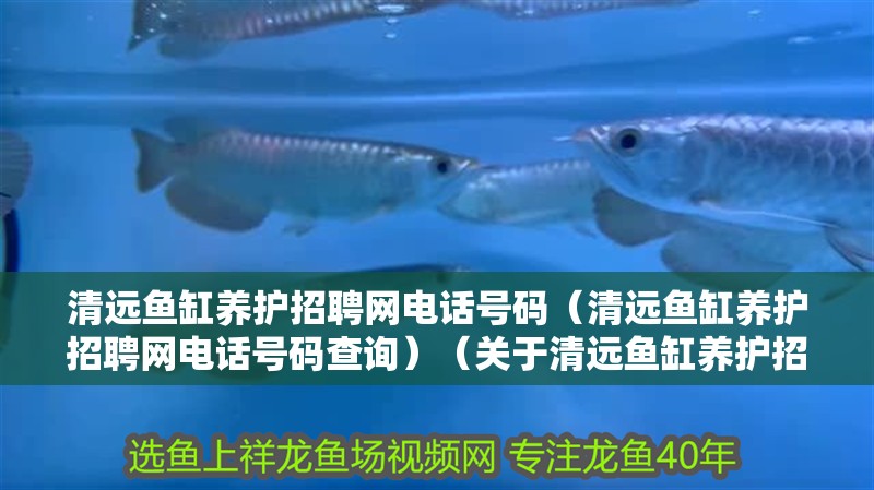 清遠(yuǎn)魚缸養(yǎng)護(hù)招聘網(wǎng)電話號(hào)碼（清遠(yuǎn)魚缸養(yǎng)護(hù)招聘網(wǎng)電話號(hào)碼查詢）（關(guān)于清遠(yuǎn)魚缸養(yǎng)護(hù)招聘網(wǎng)電話號(hào)碼） 清遠(yuǎn)魚缸養(yǎng)護(hù)招聘網(wǎng)電話號(hào)碼（清遠(yuǎn)魚缸養(yǎng)護(hù)招聘網(wǎng)電話號(hào)碼查詢）（關(guān)于清遠(yuǎn)魚缸養(yǎng)護(hù)招聘網(wǎng)電話號(hào)碼） 魚缸百科