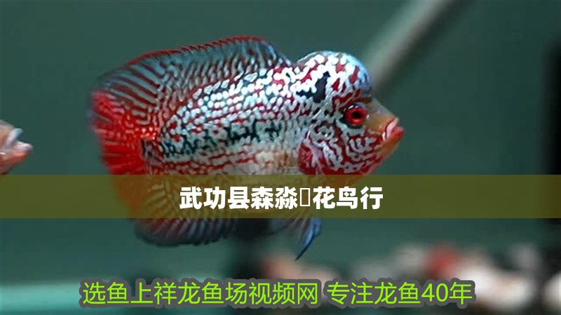 武功縣森淼垚花鳥行 武功縣森淼垚花鳥行 全國水族館企業名錄