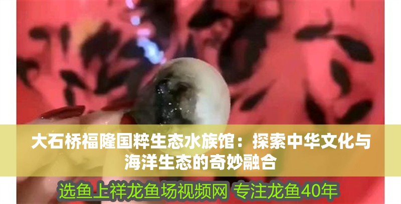 大石橋福隆國粹生態水族館：探索中華文化與海洋生態的奇妙融合