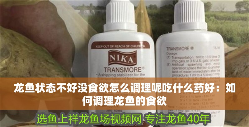 龍魚狀態(tài)不好沒食欲怎么調(diào)理呢吃什么藥好：如何調(diào)理龍魚的食欲