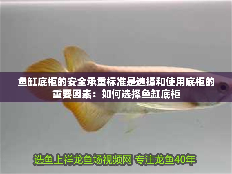 魚缸底柜的安全承重標準是選擇和使用底柜的重要因素：如何選擇魚缸底柜