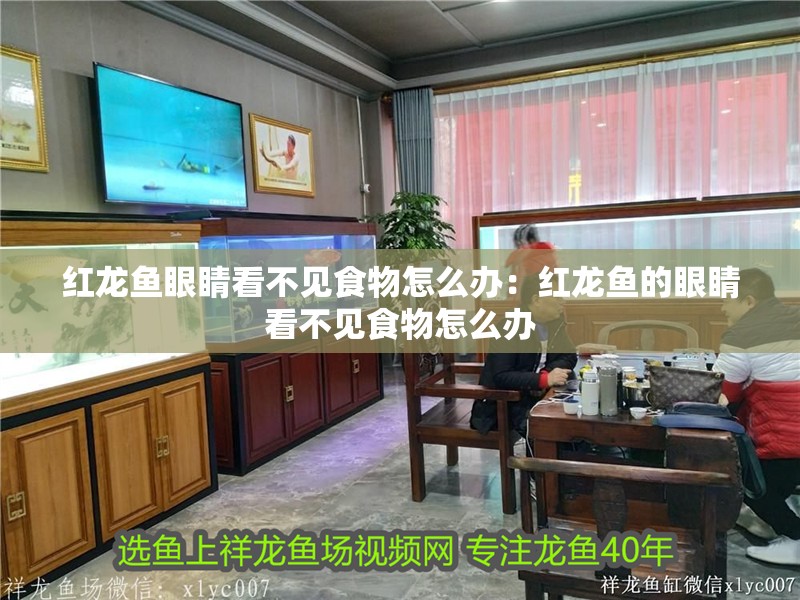 紅龍魚眼睛看不見食物怎么辦：紅龍魚的眼睛看不見食物怎么辦