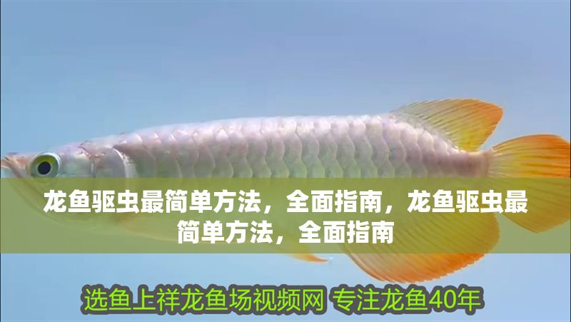 龍魚驅(qū)蟲最簡單方法,全面指南,龍魚驅(qū)蟲最簡單方法,全面指南 龍魚常見疾病 第1張 龍魚驅(qū)蟲最簡單方法,全面指南,龍魚驅(qū)蟲最簡單方法,全面指南 龍魚驅(qū)蟲最簡單方法,全面指南,龍魚驅(qū)蟲最簡單方法,全面指南 龍魚常見疾病 第1張