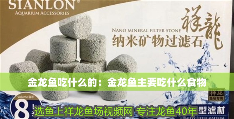 金龍魚吃什么的：金龍魚主要吃什么食物