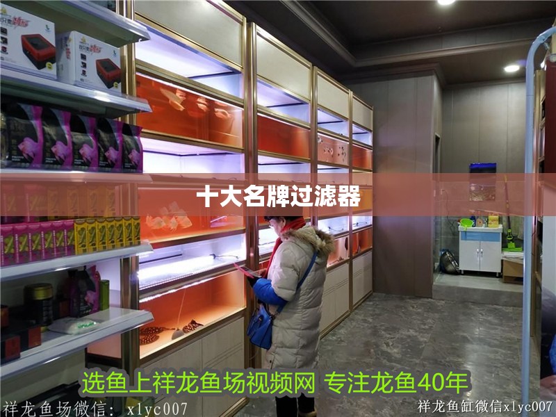 十大名牌過濾器