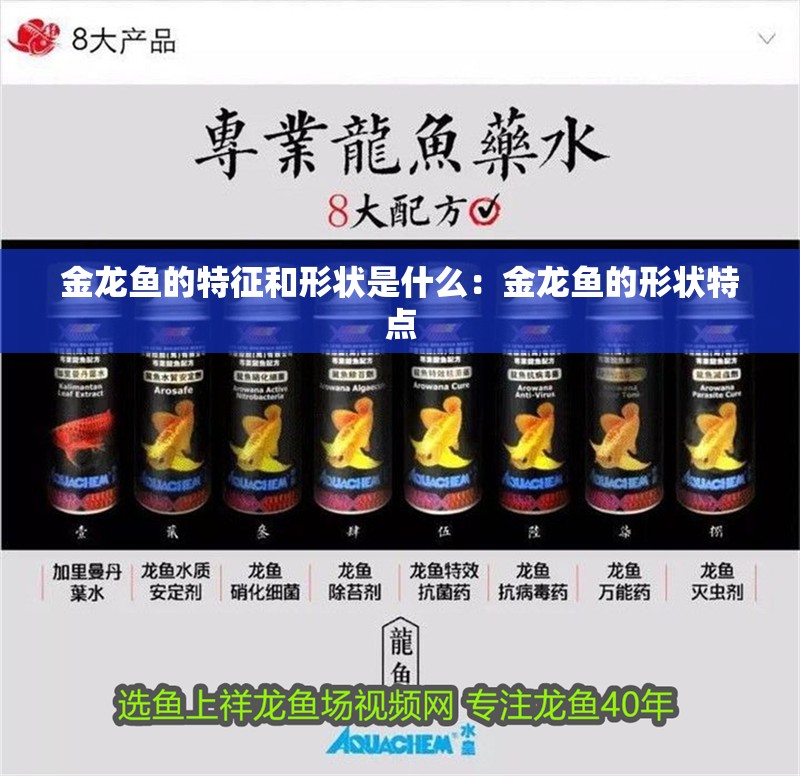 金龍魚的特征和形狀是什么：金龍魚的形狀特點