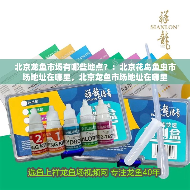 北京龍魚市場有哪些地點？：北京花鳥魚蟲市場地址在哪里，北京龍魚市場地址在哪里